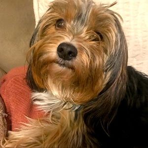 For my new friend Sopranoduck 🧡🧡🧡